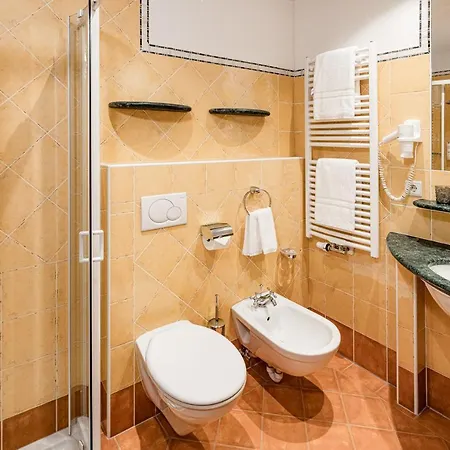 Hotel Erika Prags